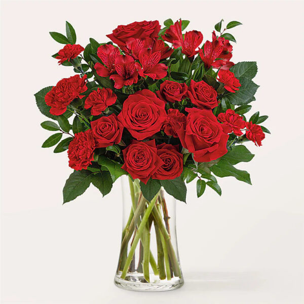 Crea tu suscripción desde Bs. 100 al mes